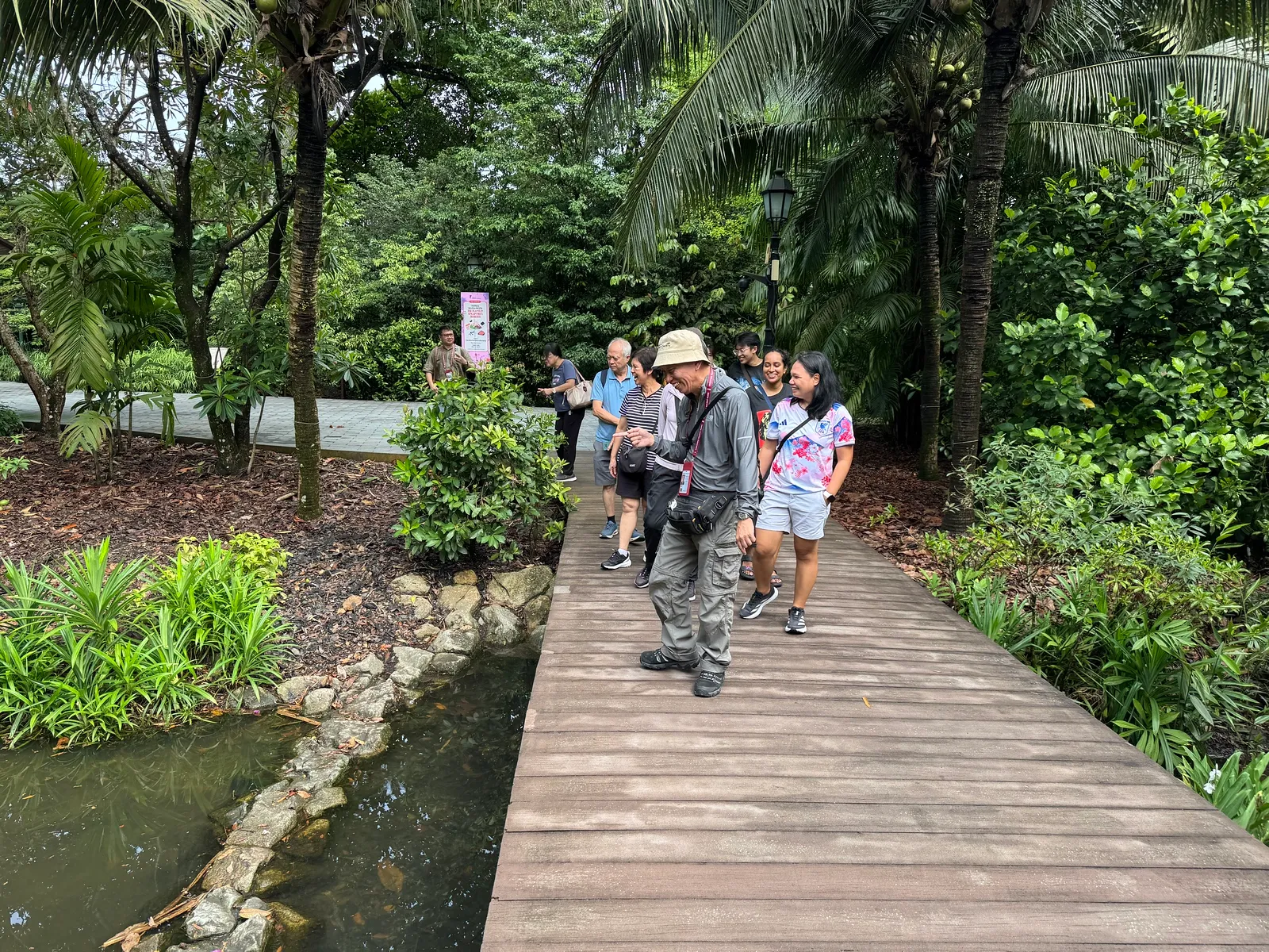 Wooden boardwalk over a pond at the Singapore Botanic Gardens