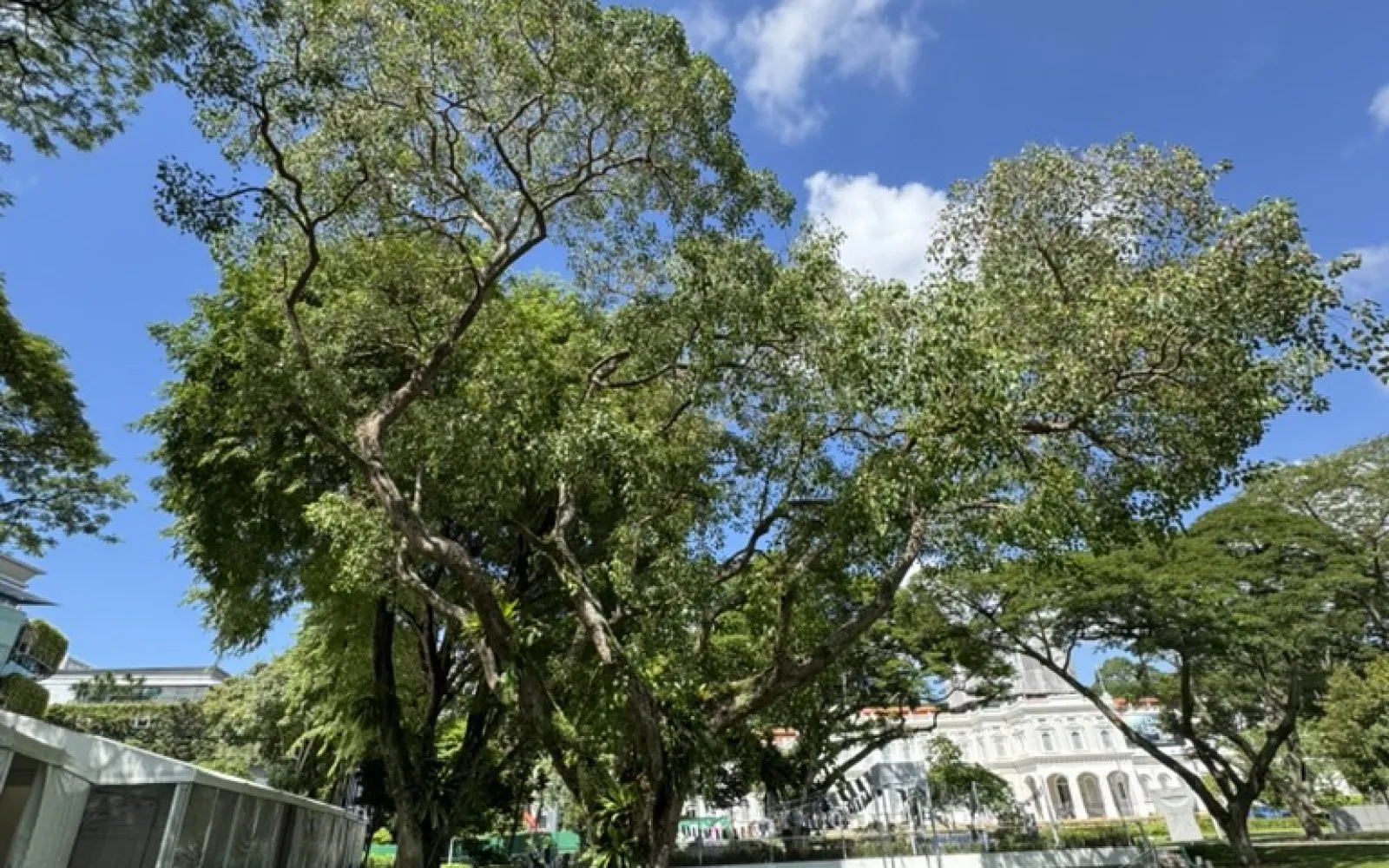 Bras Basah: Beneath the Pavement