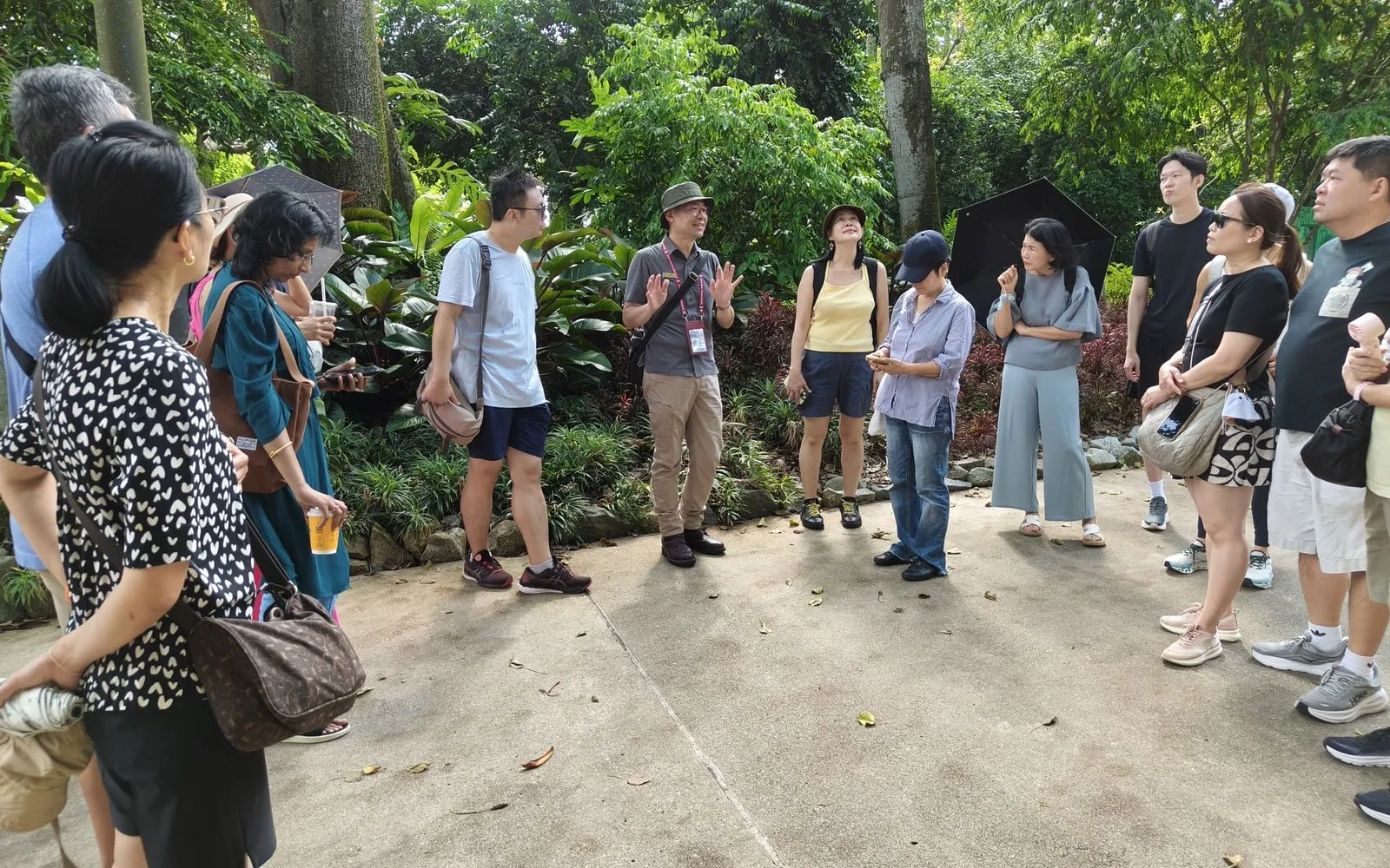 Corporate Immersion