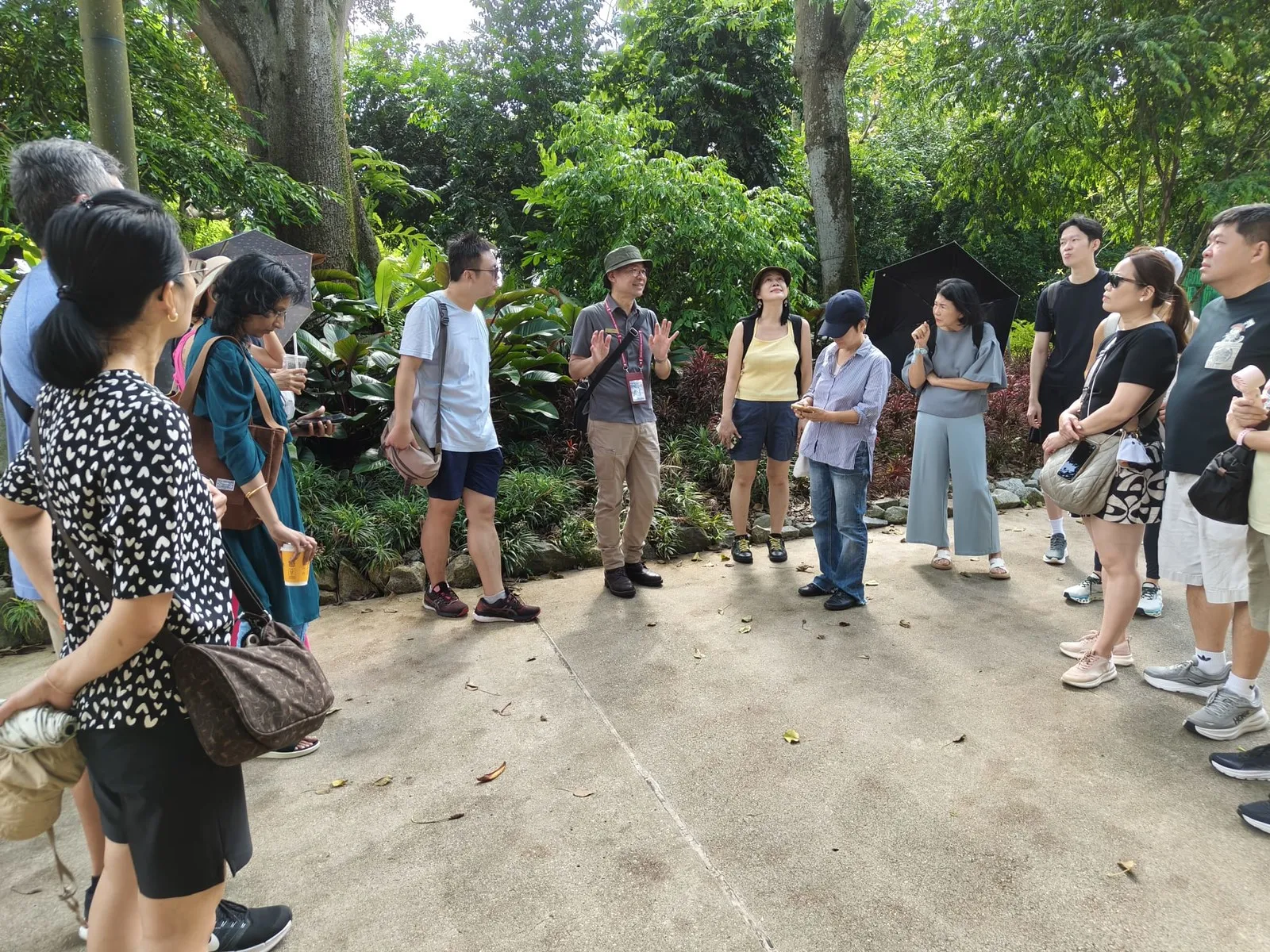 A guided group walking through Gardens by the Bay