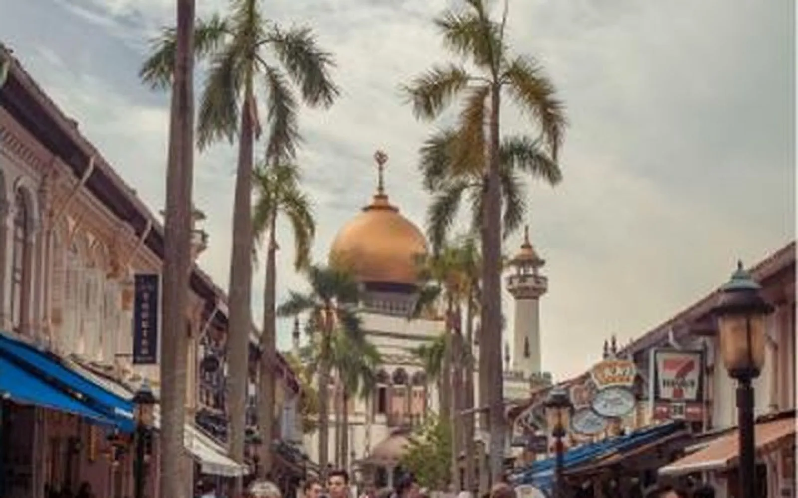 Private Singapore Group Walking Tour (10 pax)