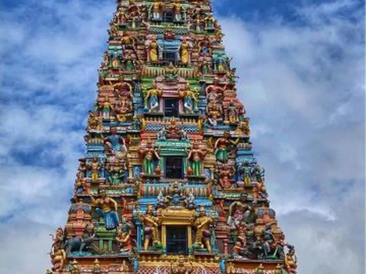Private Singapore Group Walking Tour (10 pax): a district on this experience, photo 4