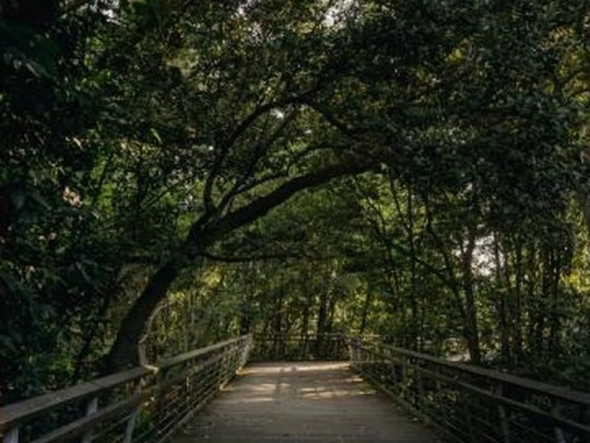 Private Singapore Group Walking Tour (10 pax): a district on this experience, photo 1