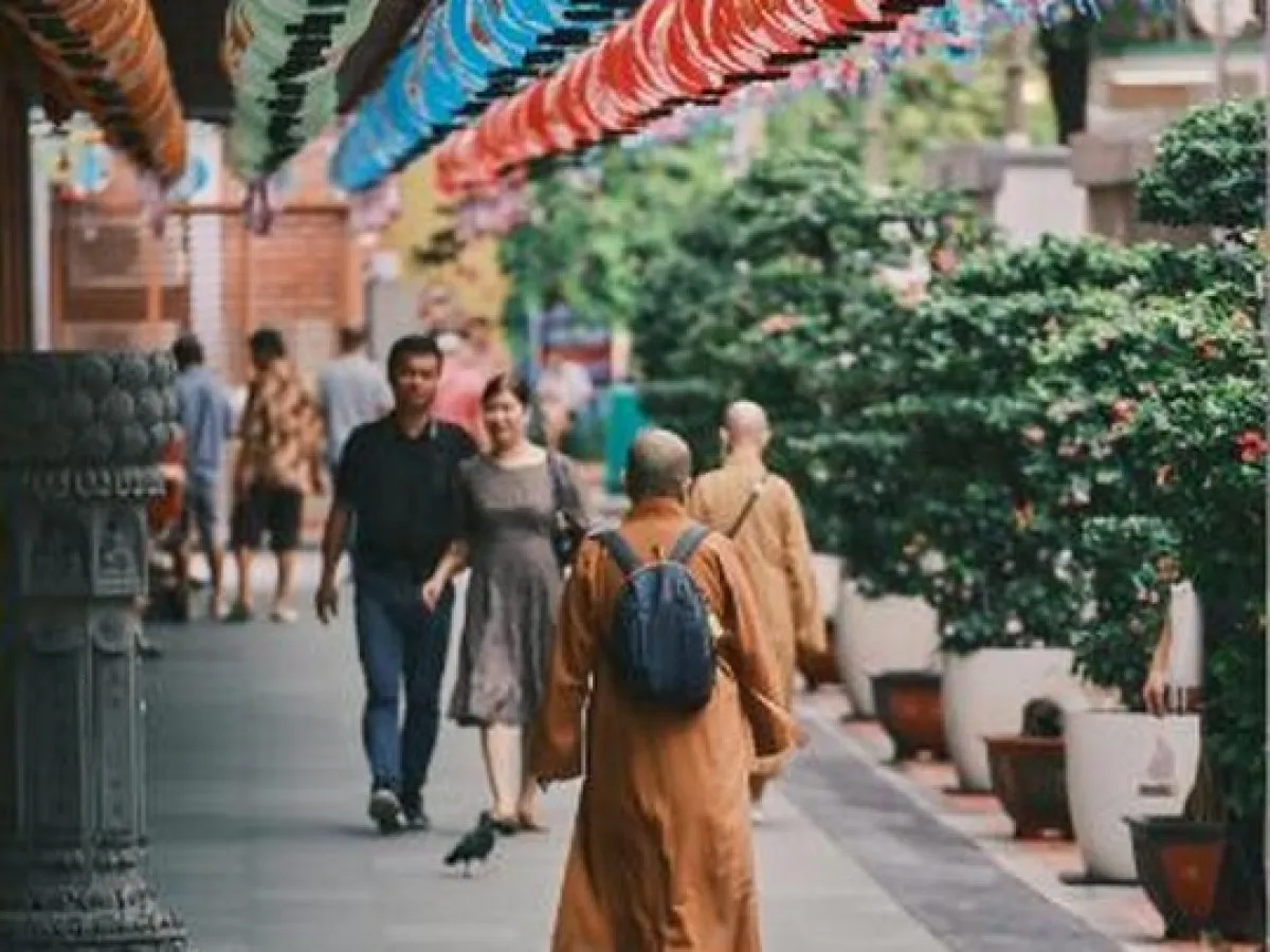 Private Singapore Group Walking Tour (10 pax): a district on this experience, photo 2