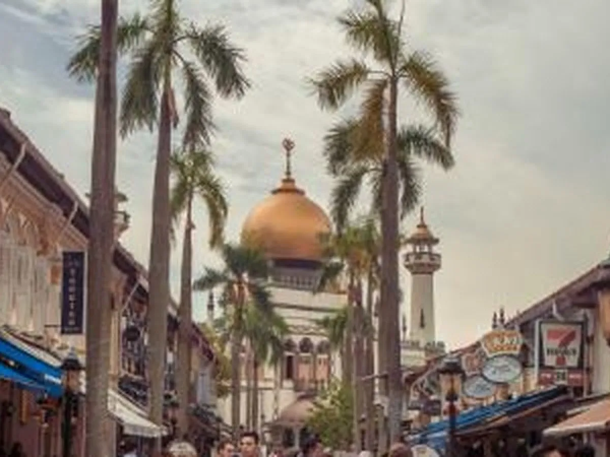 Private Singapore Group Walking Tour (10 pax)