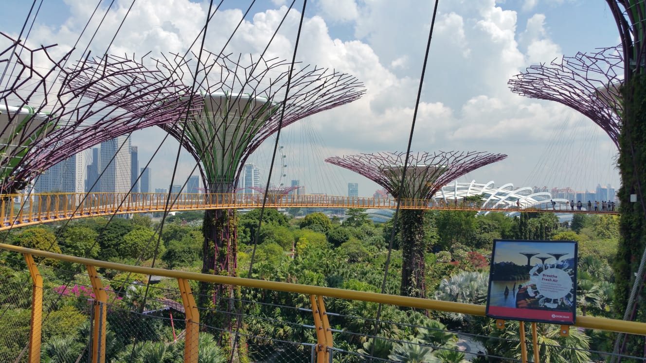 Urban Paradise: Where Innovation Meets Sustainability